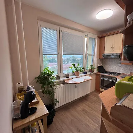Sunny In Center Apartment *